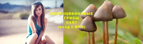 трава Елизово
