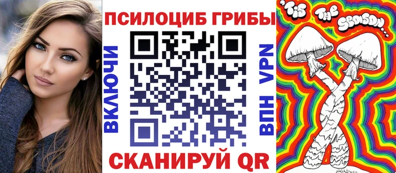 Галлюциногенные грибы Psilocybine cubensis  продажа наркотиков  Камень-на-Оби 